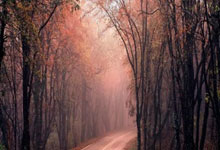 6686体育:AC米兰足球俱乐部对于岁小将郭嘉璇的不幸离世深感悲痛.