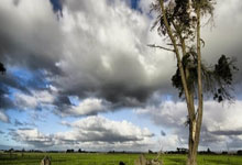 6686体育：AC米兰足球俱乐部对于岁小将郭嘉璇的不幸离世深感悲痛.