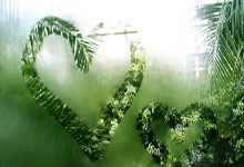 6686体育：[NBA]文森特传球失误 布朗抢断反击双手灌筐.